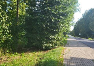 działka na sprzedaż - Zduńska Wola (gw), Suchoczasy