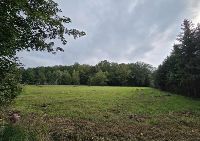 działka na sprzedaż - Łask (gw), Okup Wielki