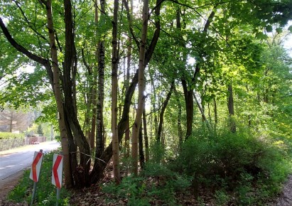 działka na sprzedaż - Zgierz (gw), Jedlicze B, Stara Droga