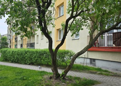 mieszkanie na sprzedaż - Zduńska Wola